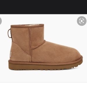 Classic mini UGGs Women